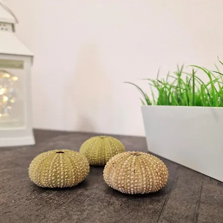 Sole A Catinelle * Alghero